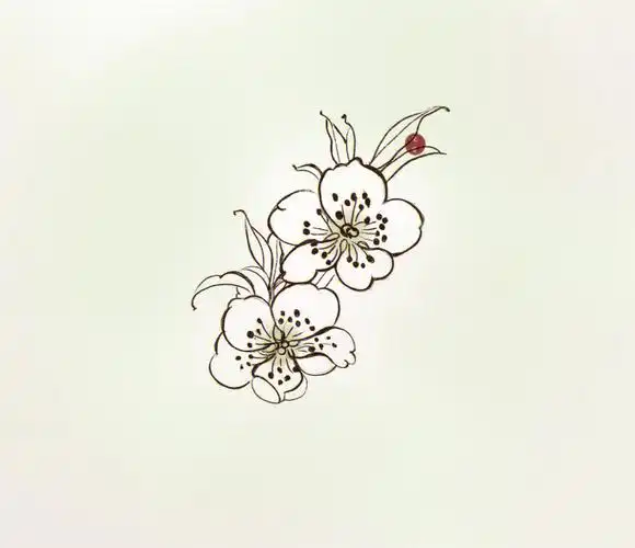 国风元素线稿练习2梨花