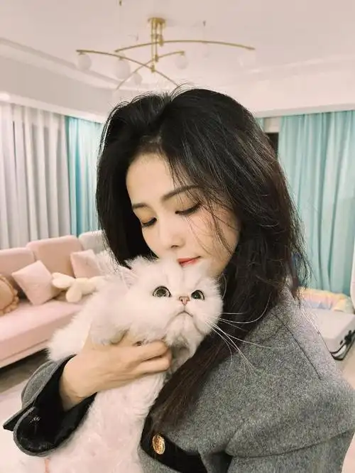 好羡慕白鹿的猫猫一脸嫌弃和不情愿的样子真是身在福中不知福