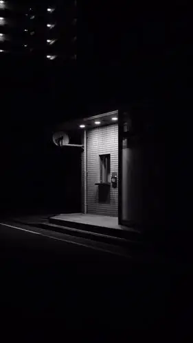 黑白风格的壁纸,冷的很高级