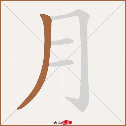 月字笔顺相关词语及拼音明月(míng yuè), 月华(yuè huá),其它字典