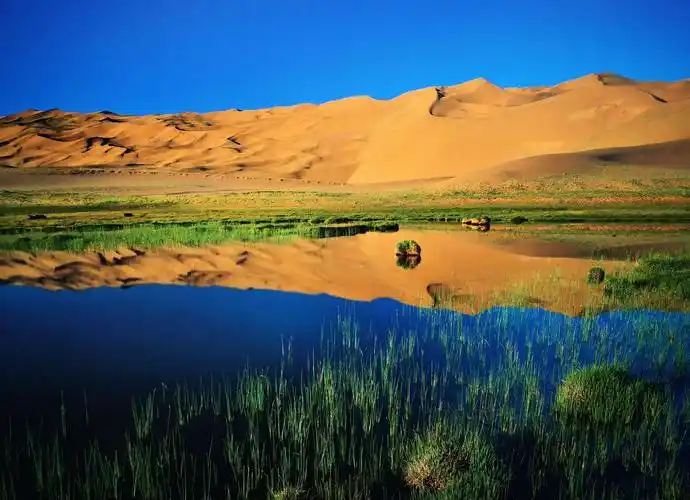 其它 新疆是个好地方之三十一:阿尔金山 写美篇阿尔金山自然保护区,有