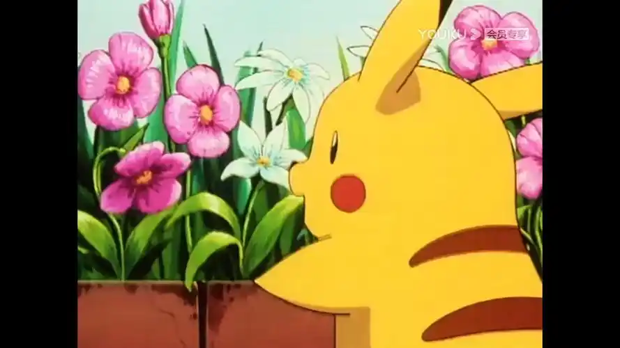 皮卡丘 - 堆糖,美图壁纸兴趣社区