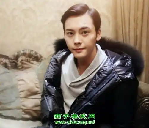 90后侧小背头发型图片适合90后的小背头发型造型3