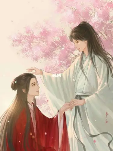 山河令无水印情头