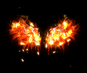 369_309gif 动态图 动图