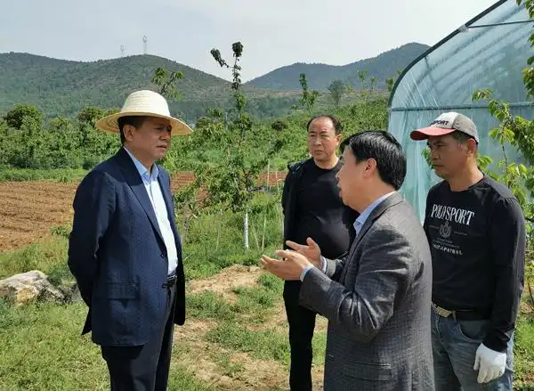 区长曹俊强调研扶贫产业项目建设-陕西省汉中市南郑县