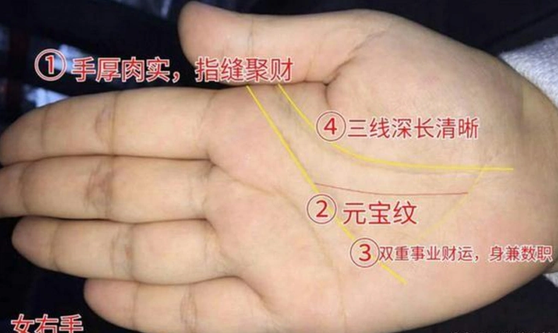 一生儿女福的手相晚年富贵多金儿女双全命超好