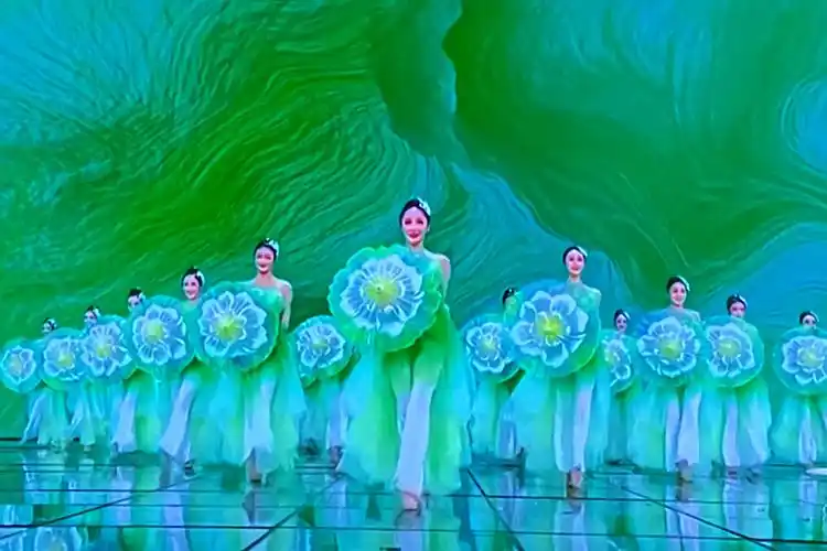 手机拍《茉莉》