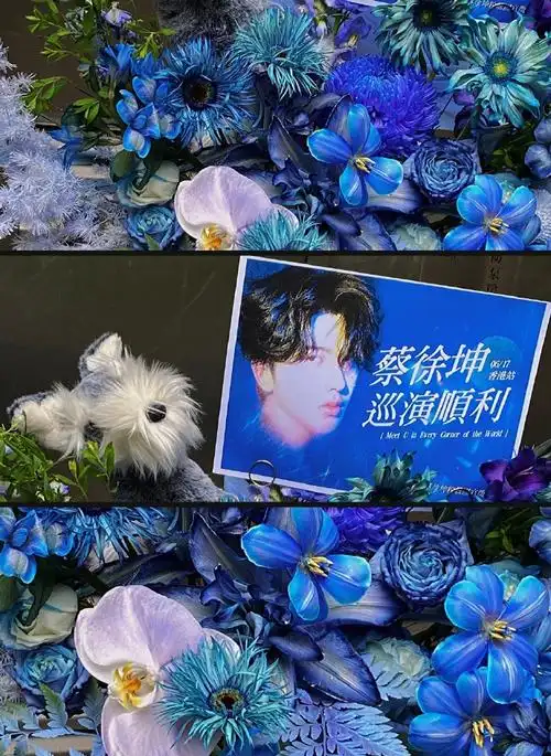 蔡徐坤香港演唱会花篮##蔡徐坤香港演唱会应援