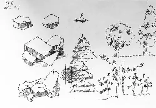 10.7周日上午金凤路校区学院初级班《速写树木》