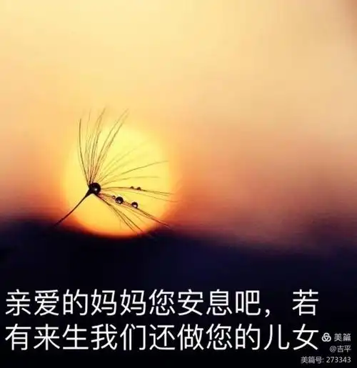 母亲是船,日夜操劳只为送儿女到岸;母亲是树,寒冬酷暑都帮儿女避风挡