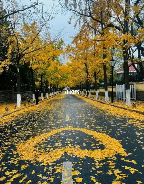 浪漫  #青岛旅行  #青岛攻略  #青岛拍照  #青岛旅游  #青岛八大