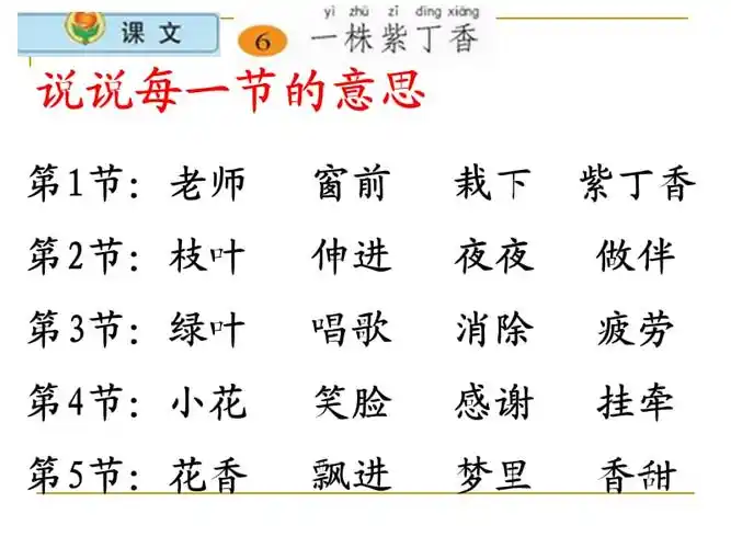 6一株紫丁香3ppt