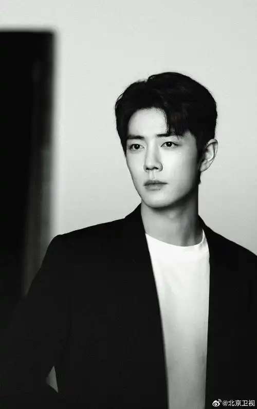 肖战黑白大片霸气外露
