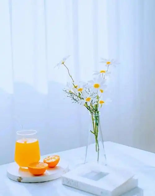 适合发的优质句子唯美舒心令人着迷