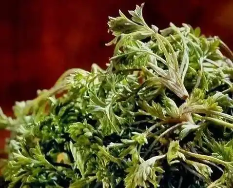 掺进玉米面蒸窝头,包子,团子做馅吃,清拌豆腐,还可以做茵陈(白蒿)羹