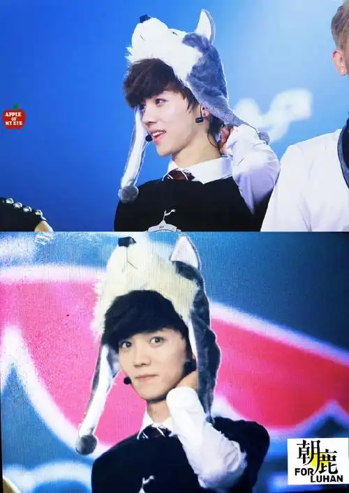 歌手鹿晗##鹿晗