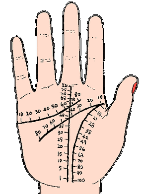 手相能看出寿命长短吗,手相看人的寿命长短