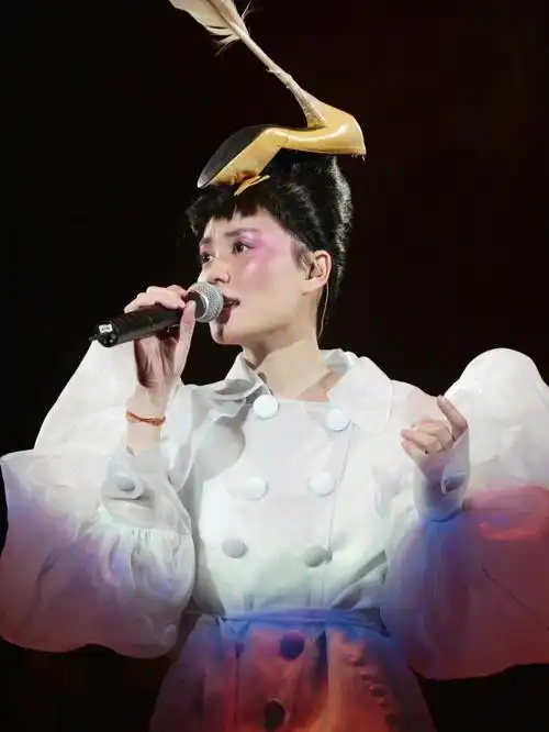 之前一直想做一个王菲的系列,昨天在第n遍刷菲比寻常演唱会的时候突然