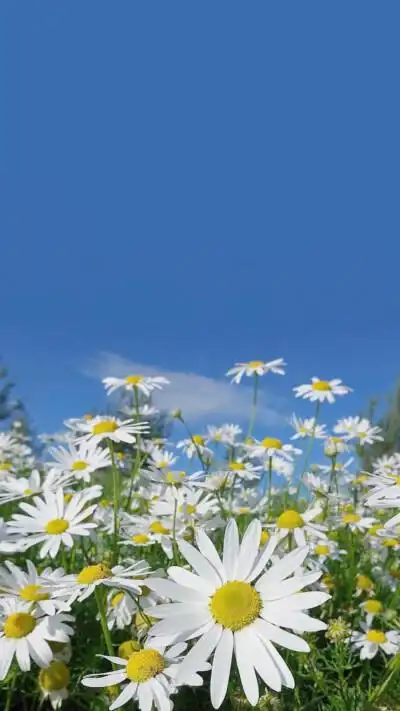 小清新/天空晚霞/横屏壁纸/锁屏壁纸/手机壁纸ins/无水印壁纸/背景图