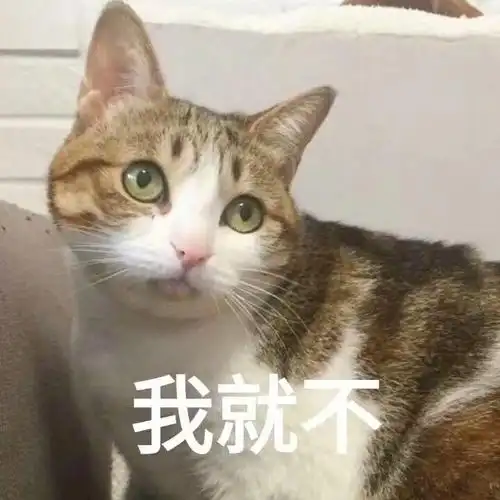 我就不(猫咪表情包)_猫咪表情