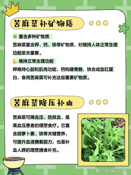 苦麻菜的作用与功效 家人们,有没有发现最近天气越来越热,身体也开始