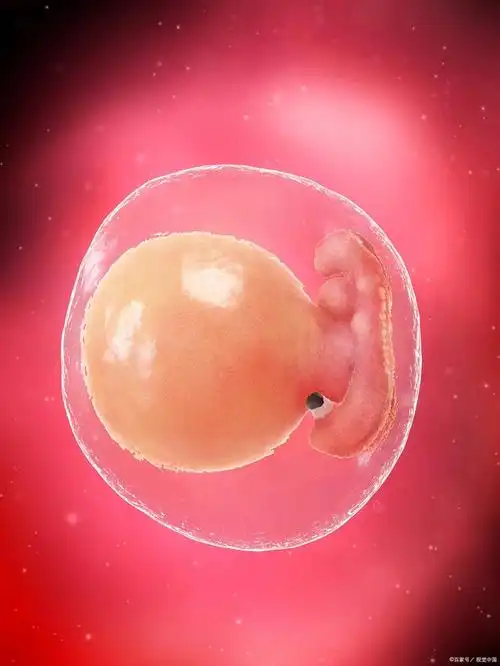 怀孕的第一个月:一场奇妙的旅程开始了