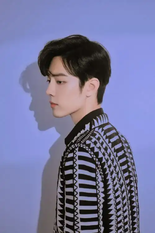 最绝的侧脸照#见过肖战gg侧颜的人,无人不称赞其颜值吧,连侧颜的幼佑