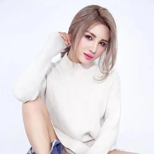 许佳慧的最新歌曲曲谱-苍强曲谱