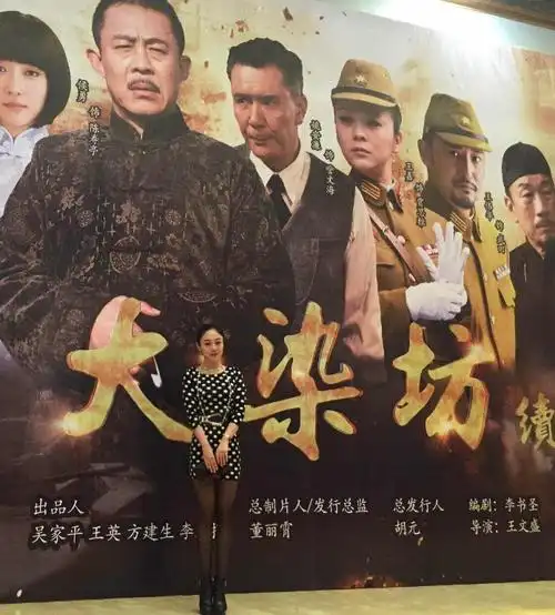汇集侯勇,姚安濂,王伟华,王嘉等实力派演员联袂主演的电视剧《大染坊