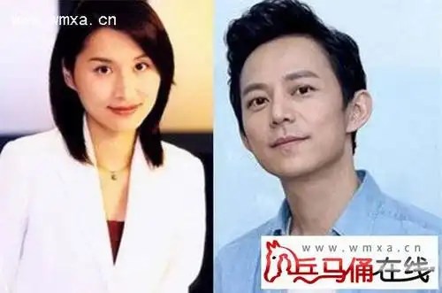 主持人何炅结婚了吗老婆是谁 何炅老婆王菁资料背景介绍