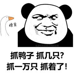 最近很火的抓鸭子是什么梗表情包来了