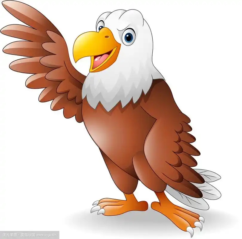 卡通鹰展示