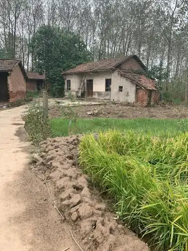 凋敝的农村,一栋破烂的老房子就是一个农民一生的写照