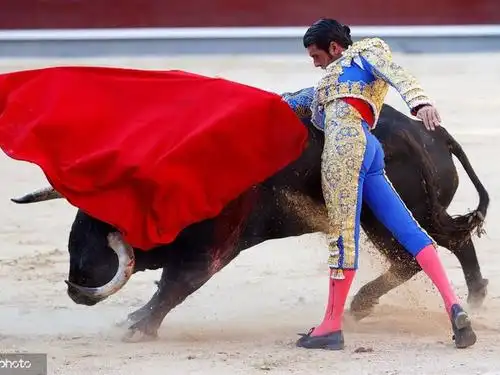 西班牙马德里举行斗牛会