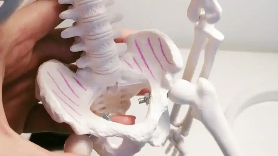 真实的胎儿入盆是什么样