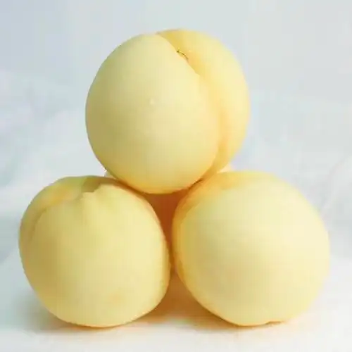 快递发货-5斤 蒙阴白桃 脆甜多汁应季水果