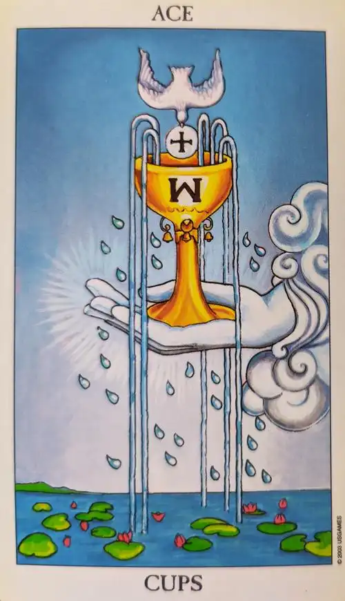 塔罗文化分享(八十八)-- 圣杯王牌