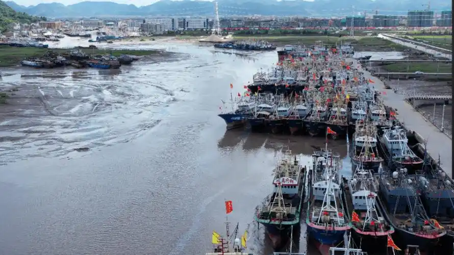 台风"黑格比"来袭 龙港市渔船全部归港避风_温州市