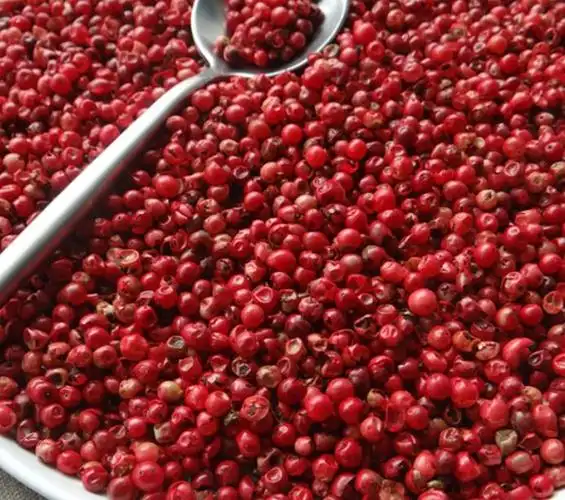 pink pepper whole - schinus terebinthifolius!000))