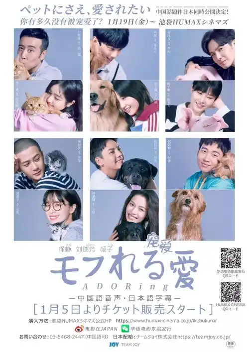 宠爱电影_百科-更更网