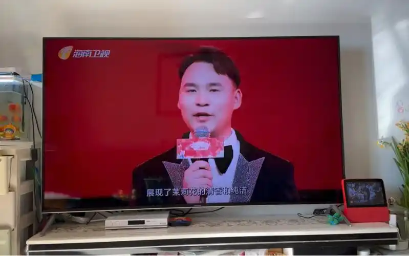 张涛主持海南卫视电视春节联欢晚会