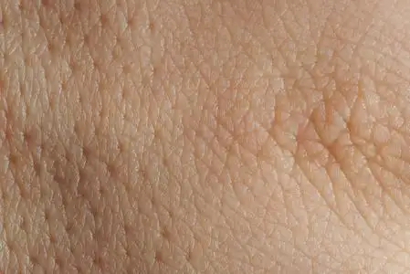 纹理的皮肤与毛孔照片