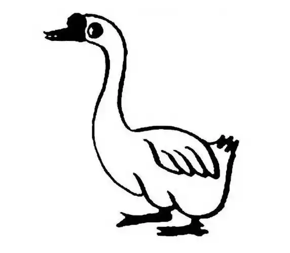 简笔画大白鹅8月最新 简笔画大白鹅图片