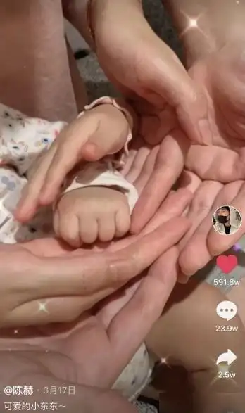 月17日,陈赫张子萱夫妇正式官宣了二胎产女的喜讯,一家四口手叠手拍照