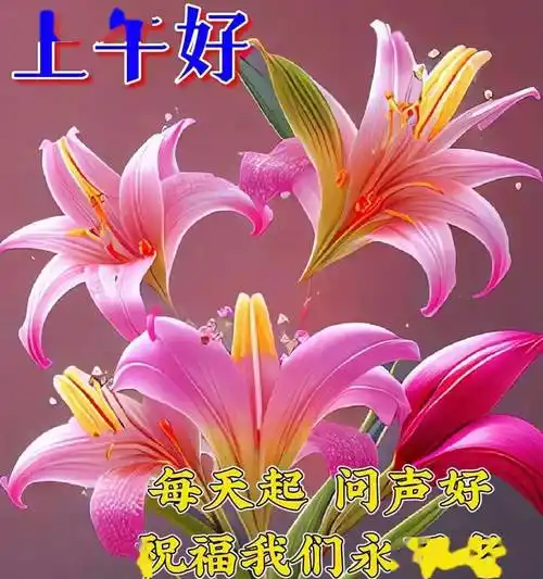 中老年早上好表情包大全,无限祝福,吉祥如意,幸福永远
