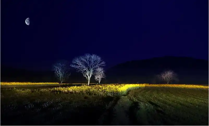 原创夜晚躺田头蹲守野狼乡村少年用计锤死三狼成功为爹报仇