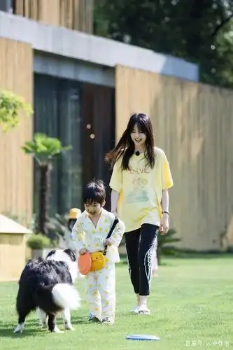 《奇妙小森林》郑爽带孩子蛮用心的,因压力大而哭泣