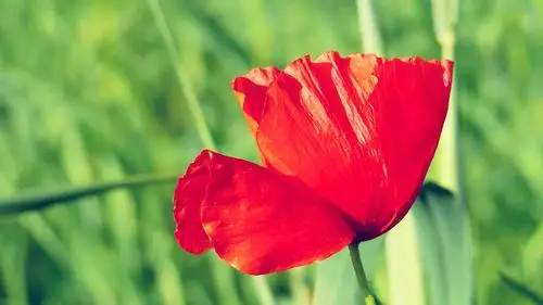 清新桌面壁纸之唯美好看的风景