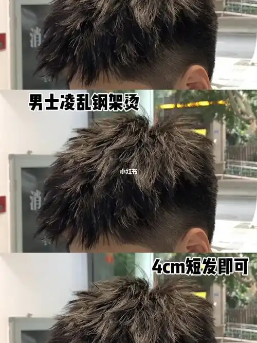 摩根烫 #纹理烫 #锡纸烫男士发色推荐 #奶茶色